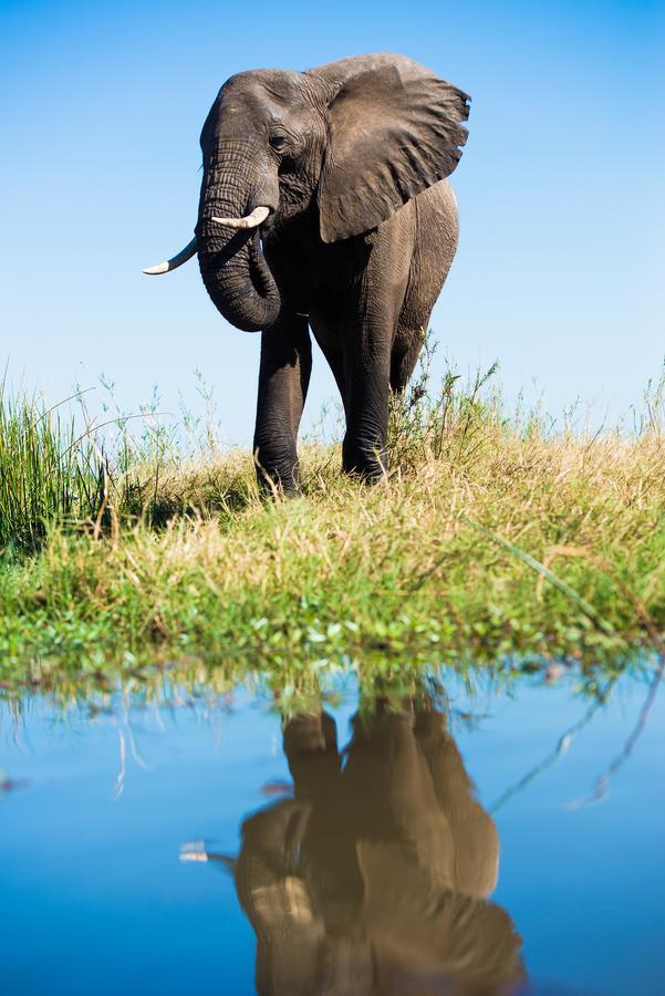Royal Zambezi Lodge Mafuta Екстериор снимка